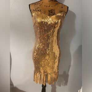 ❤️Style Rack sequin and fringes mini dress